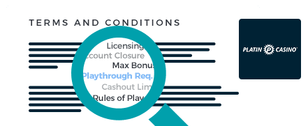 PlatinCasino Terms